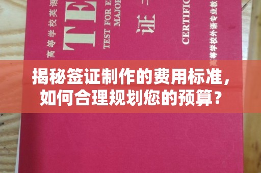 富川揭秘签证制作的费用标准，如何合理规划您的预算？